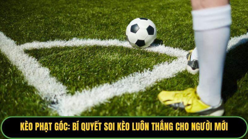 Kèo Phạt Góc: Bí Quyết Soi Kèo Luôn Thắng Cho Người Mới