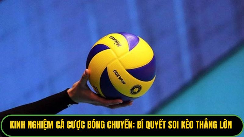 Kinh Nghiệm Cá Cược Bóng Chuyền: Bí Quyết Soi Kèo Thắng Lớn 